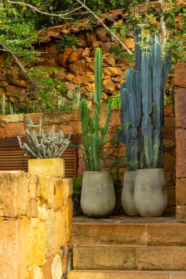 Espacios 3 Terrazul Barichara